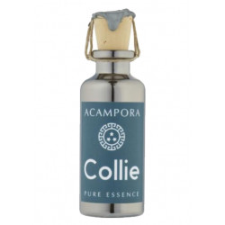 Collie Pure Essence 5ML
