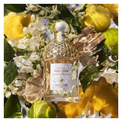 AQUA ALLEGORIA BERGAMOTE...