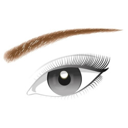 Infaillible Brows 12H...