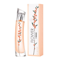 Flower Ikebana Mimosa By...