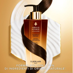 Abeille Royale - Repairing...