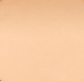 Double Wear Powder Foundation SPF10 - Pale Almond 2C2