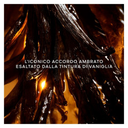 Shalimar L`essence Eau De...