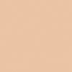 Forever Ricarica Dior Forever Natural Velvet 2N Neutral