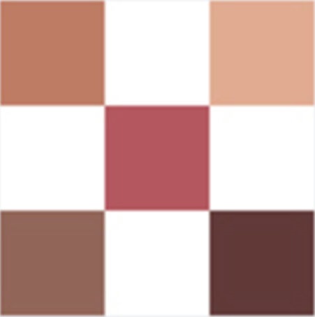 DIORSHOW Palette 5 Couleurs - Mitzah 689