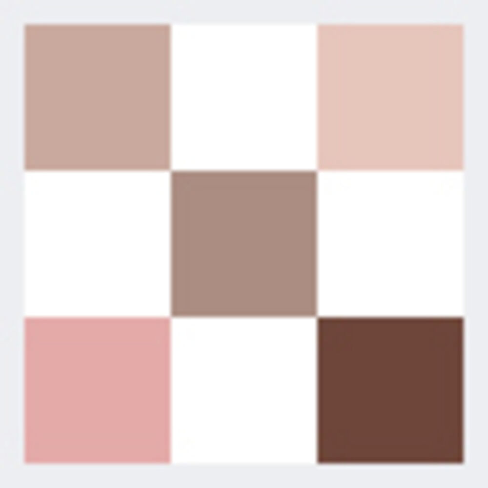 DIORSHOW Palette 5 Couleurs - Silk Taupe 647 Edizione Limitata Cannage