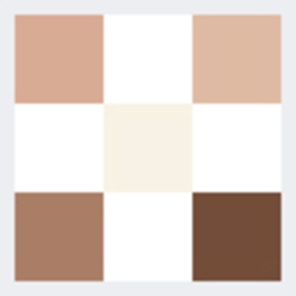 DIORSHOW Palette 5 Couleurs -  Brown Cachemire 557 Edizione Limitata Cannage