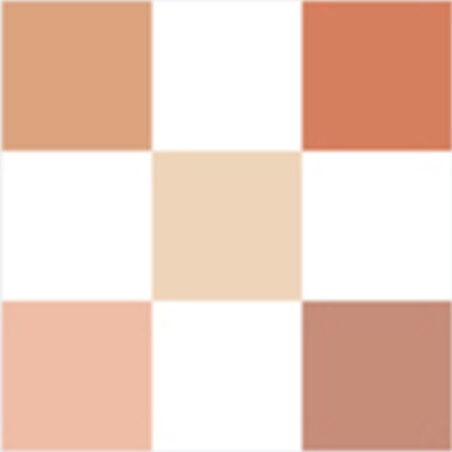 DIORSHOW Palette 5 Couleurs - Amber Pearl 423