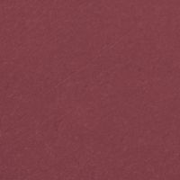 ROUGE ALLURE VELVET EDIZIONE LIMITATA - IL ROSSETTO VELLUTATO LUMINOSO - PREMIER PAS 488