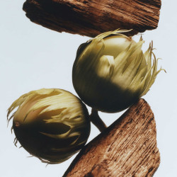 English Oak & Hazelnut...