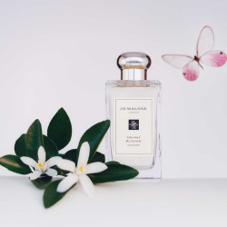 Orange Blossom Cologne 100ml