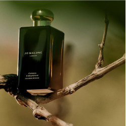 Cypress & Grapevine Cologne...