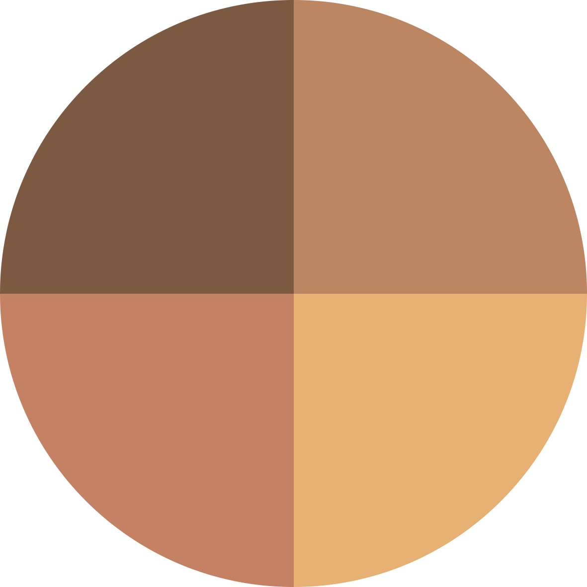 Météorites Poudre Compact - Amber 04
