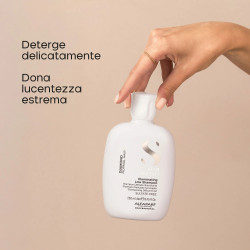 Semi di Lino - Illuminating...