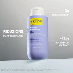Purple Shampoo Anti-Giallo...
