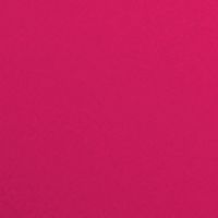 LE VERNIS - COLORE E BRILLANTEZZA A LUNGA TENUTA - DESIRABLE 425