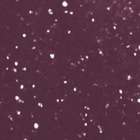 LE VERNIS - COLORE E BRILLANTEZZA A LUNGA TENUTA - SPECTACULAIRE 429