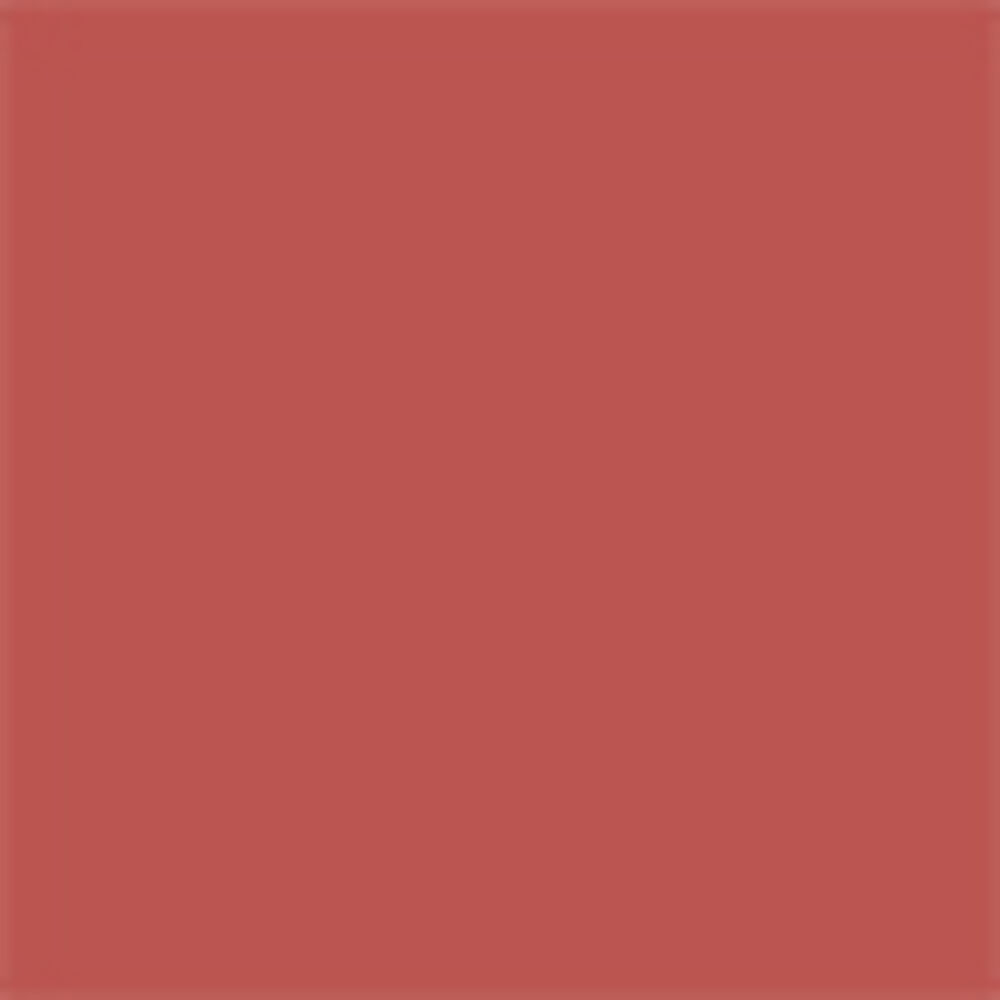 Rouge Dior On Stage Ink Blur Matte - Dare In Coral 217