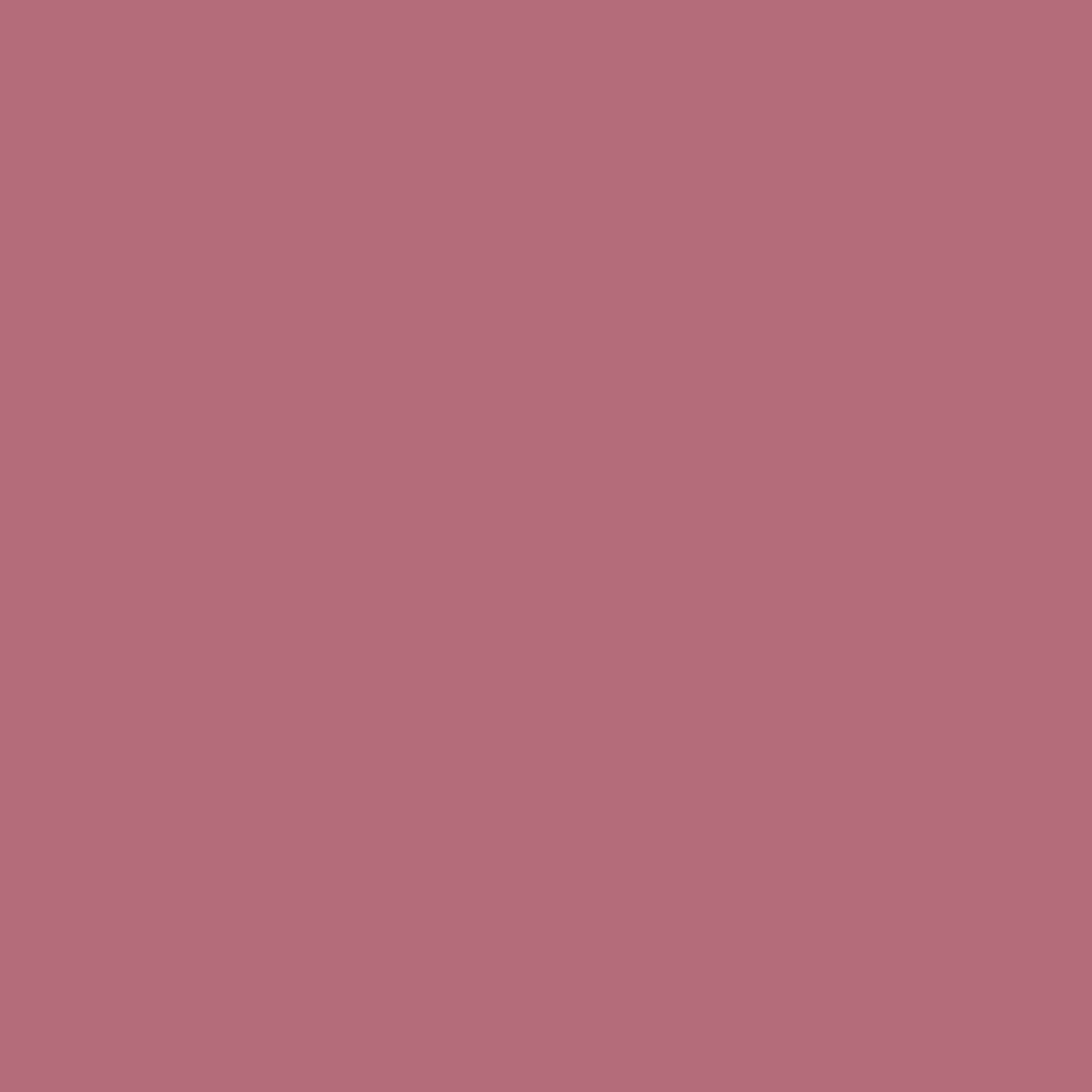 LIP MISTRESS Matitone Labbra Opaco Rimpolpante - Rosy Bite 24