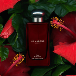 Red Hibiscus Cologne...