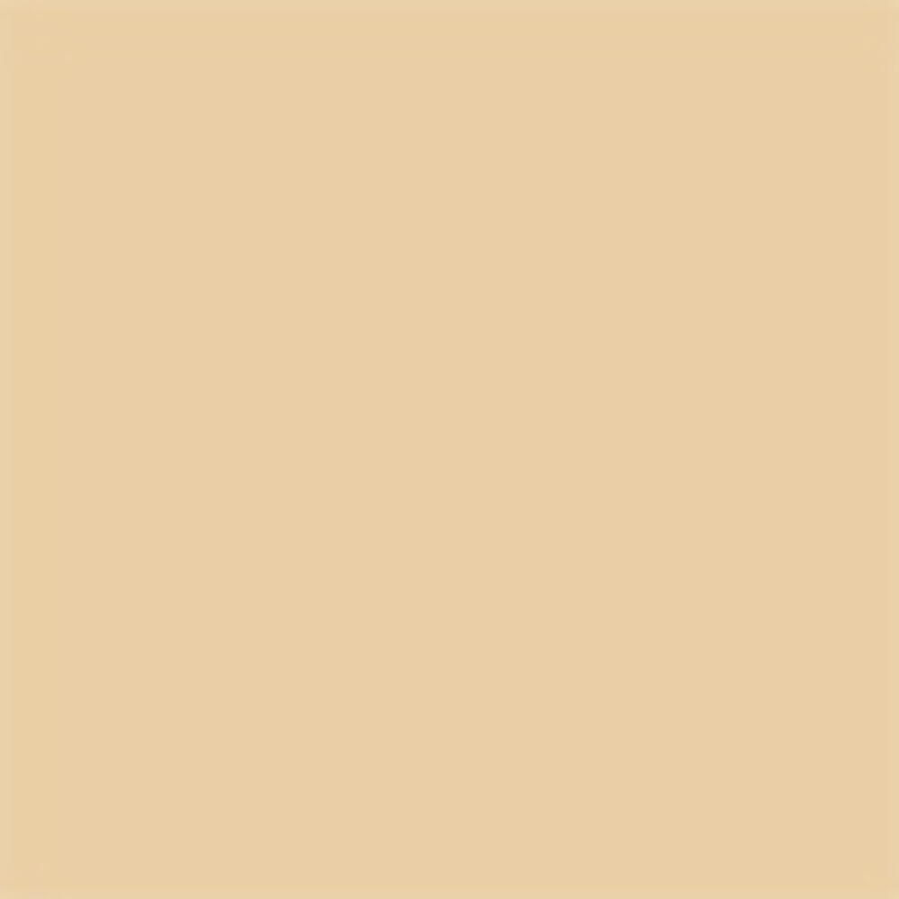 Dior Vernis - Golden Cinnamon 767