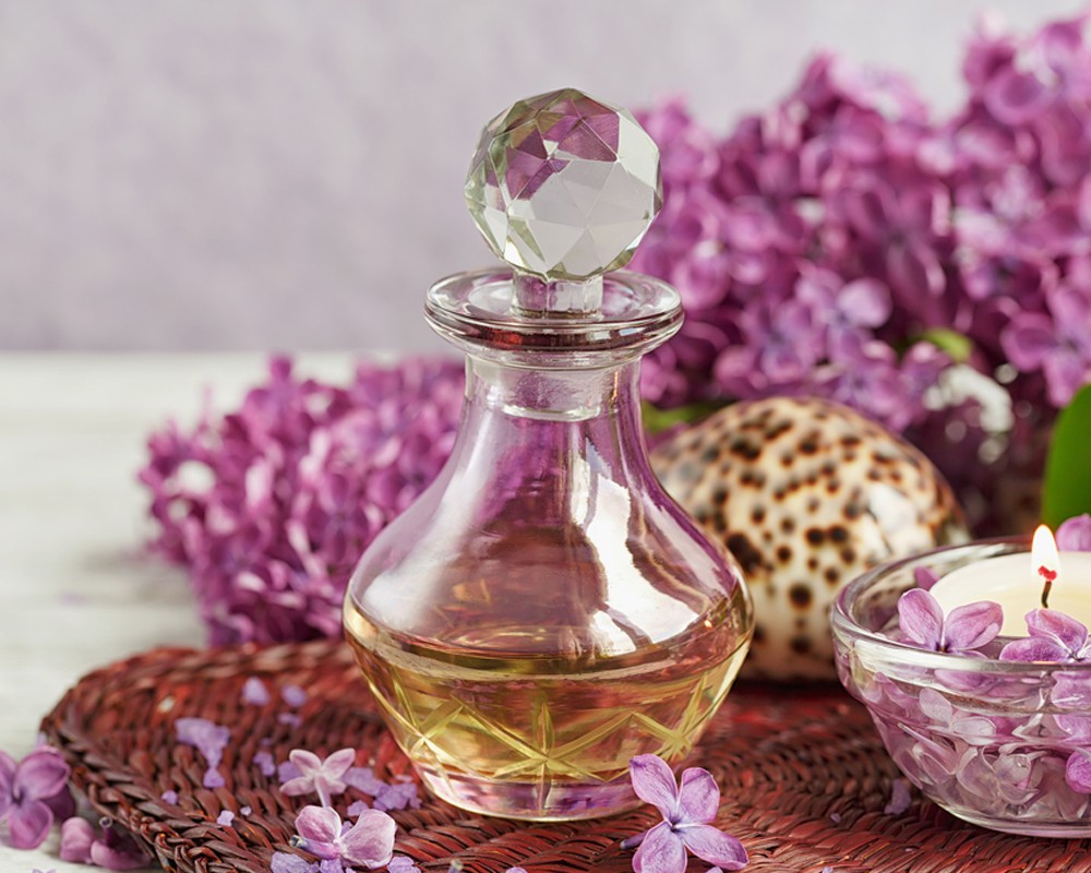 Nostro expetenda volupta